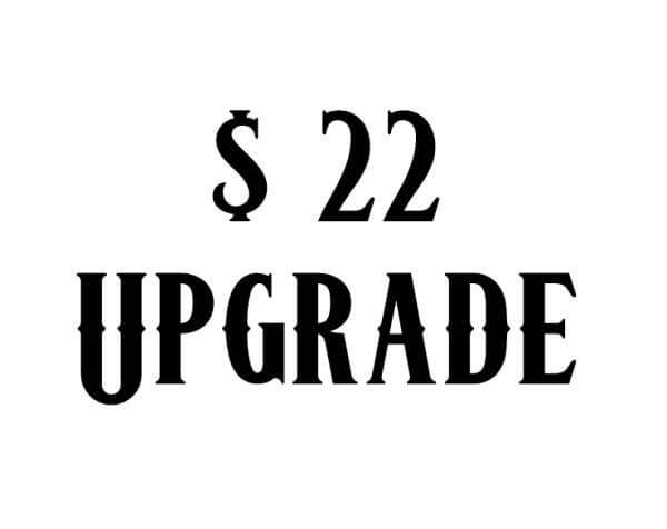 upgrade 22
